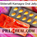 Sildenafil Kamagra Oral Jelly new01